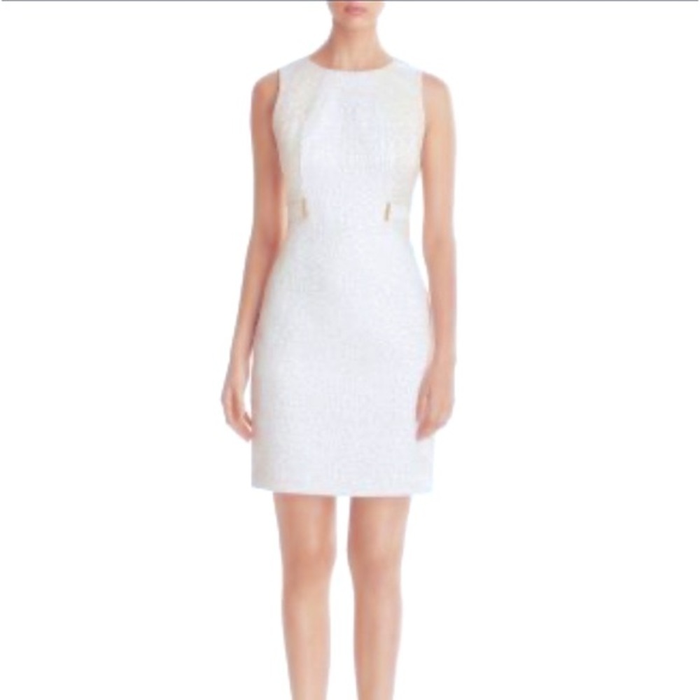 Calvin Klein Zebra Brocade Dress in Mint size 6